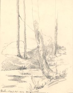 Marcus Adams - 1927 Graphite Drawing, Beech Trees