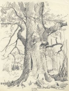 Marcus Adams - 1938 Graphite Drawing, New Forest
