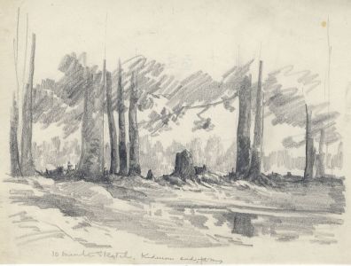 Marcus Adams - Early 20th Century Graphite Drawing, Wooded Area