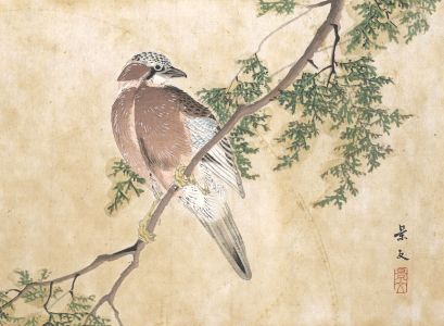 Early 20th Century Japanese Woodblock - Songbird