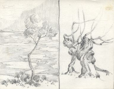 Marcus Adams - Set of 5 Early 20th Century Graphite Drawings, Studies of Trees