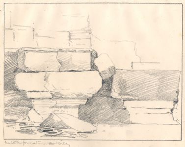Marcus Adams - Early 20th Century Graphite Drawing, Natural Formation