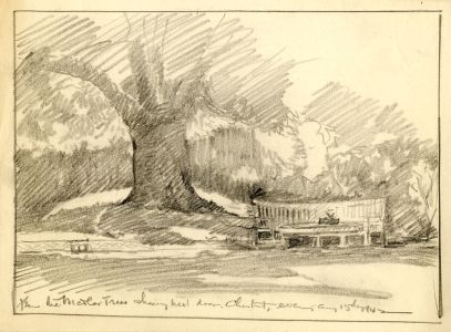 Marcus Adams - Five Early 20th Century Graphite Drawings, Landscapes