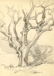 Marcus Adams - Five Early 20th Century Graphite Drawings, Trees in Landscapes