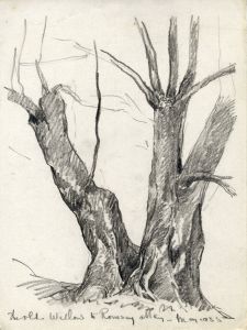 Marcus Adams - Five Early 20th Century Graphite Drawings, Trees and Landscapes