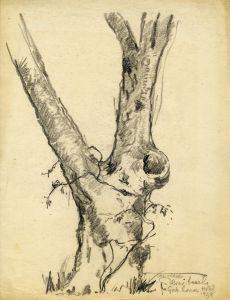 Marcus Adams - Five Early 20th Century Graphite Drawings, Tree Studies