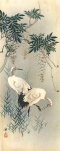 Fine Mid 20th Century Watercolour - Birds
