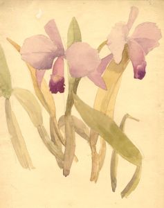 Mary Cecilia Crompton - Contemporary Watercolour, Study of Irises