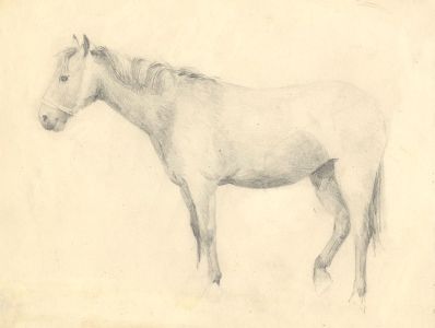 Mary Cecilia Crompton - Contemporary Graphite Drawing, Horse