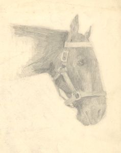 Mary Cecilia Crompton - Contemporary Graphite Drawing, Horse