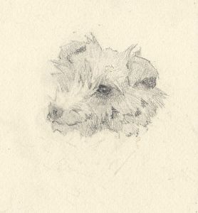 Mary Cecilia Crompton - Contemporary Graphite Drawing, Study of a Dog