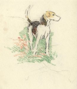 Mary Cecilia Crompton - Contemporary Graphite Drawing, Hound