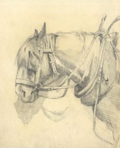Mary Cecilia Crompton - Contemporary Graphite Drawing, Horse Study