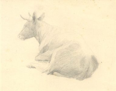 Mary Cecilia Crompton - Contemporary Graphite Drawing, Bull
