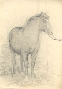 Mary Cecilia Crompton - Contemporary Graphite Drawing, Study of a Horse in Reins