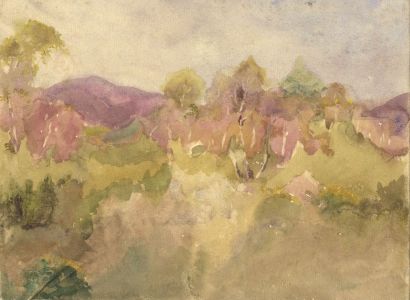 Mary Cecilia Crompton - Contemporary Watercolour, Wooded Landscape