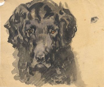 Mary Cecilia Crompton - Contemporary Watercolour, Dog