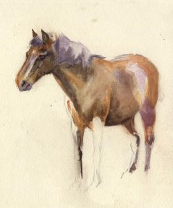 Mary Cecilia Crompton - Contemporary Watercolour, Horse