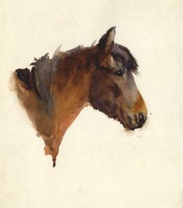 Mary Cecilia Crompton - Contemporary Watercolour, Donkey