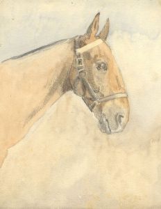 Mary Cecilia Crompton - Contemporary Watercolour, Horse
