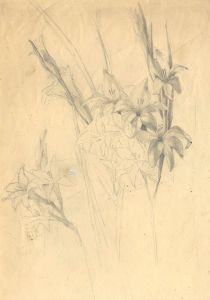 Mary Cecilia Crompton - Contemporary Graphite Drawing, Floral Study