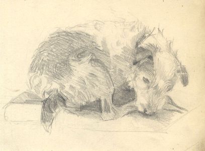 Mary Cecilia Crompton - Contemporary Graphite Drawing, Study of a Dog Sleeping