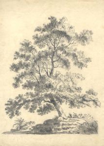 Samuel Gillespie Prout  - Early 20th Century Graphite Drawing, Tree