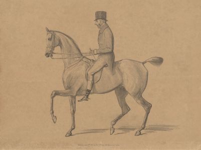 Thomas Mclean - 1838 Lithograph, Gentleman on a Horse
