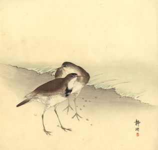 Jing Hu - Late 19th Century Japanese Woodblock, Birds