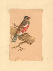 Samuel Gillespie Prout  - 19th Century Watercolour, Study of a bird