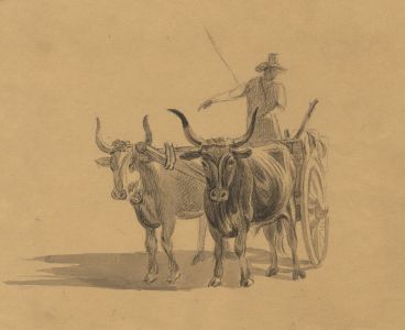 19th Century Graphite Drawing - A Farmer Driving His Ox Cart