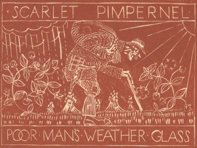 1923 Woodcut - Scarlet Pimpernel