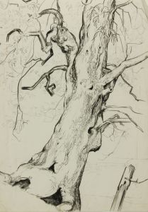 Contemporary Graphite Drawing - Three Works in Graphite