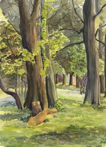 P.M. Evans - Mid 20th Century Watercolour, Two Woodland Landscapes