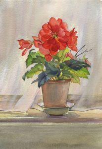 P.M. Evans - Mid 20th Century Watercolour, Flower Pot