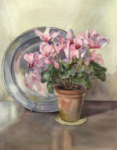 P.M. Evans - Mid 20th Century Watercolour, Flower Pot