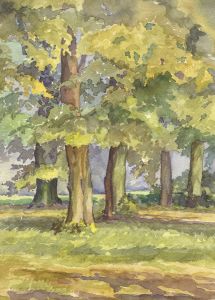 P.M. Evans - Mid 20th Century Watercolour, Trees