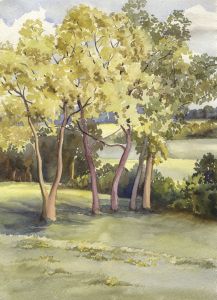 P.M. Evans - Mid 20th Century Watercolour, Trees