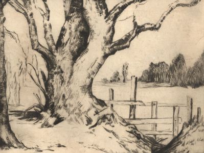 20th Century Etching - Tree in a Landscape
