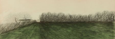 A. Manroell - Contemporary Etching, Sod Field