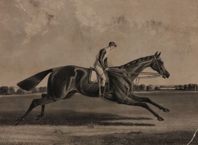 Charles Hunt After John Frederick Herring - 19th Century Aquatint, Bee's Wing