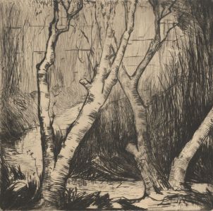 1928 Wood Engraving - Woodland Scene