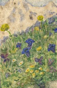 Dorothy Willis - Mid 20th Century Watercolour, Floral Field