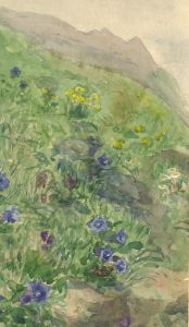 Dorothy Willis - Mid 20th Century Watercolour, Meadow in Mountains