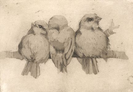 Amy Elise Princep - 20th Century Etching, Birds on a Branch