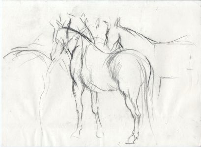 Barbara Dorf - Mid 20th Century Charcoal Drawing, Horse Study