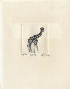 Christine Mcginnis - Limited Edition Contemporary Etching, Giraffe