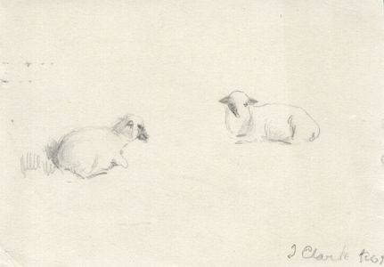 Joseph Clark - Signed Late 19th Century Graphite Drawing, Lambs