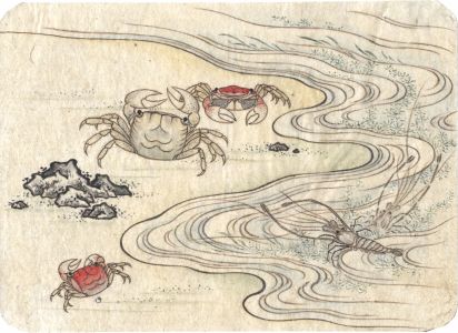 Fine Japanese 19th Century Watercolour - Crabs and Lobster