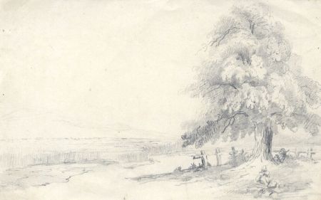 19th Century Graphite Drawing - Tree in a Landscape
